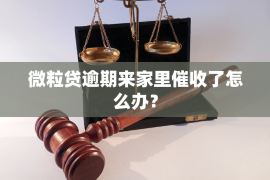 苏仙苏仙专业催债公司，专业催收